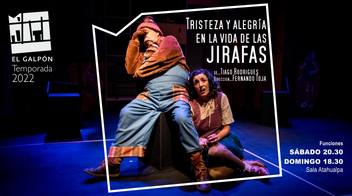 Portada de Tristeza y alegría en la vida de las jirafas