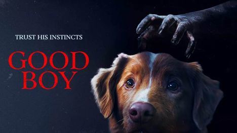 Portada de GOOD BOY